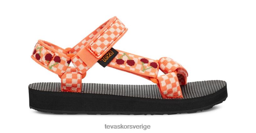 original universal Teva NPL0DZ282 Skodon picknick körsbär morot-rabarber