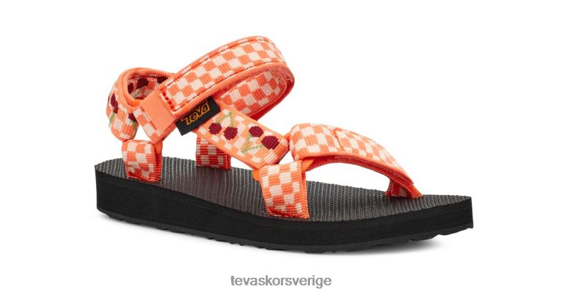 original universal Teva NPL0DZ282 Skodon picknick körsbär morot-rabarber
