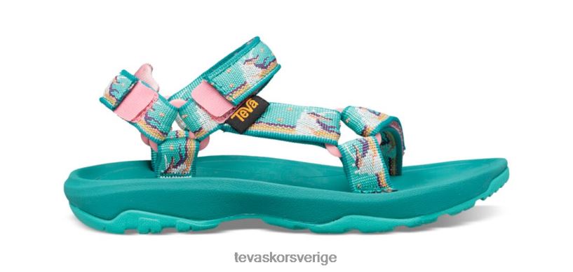 orkan xlt 2 Teva NPL0DZ254 Skodon enhörning vattenfall
