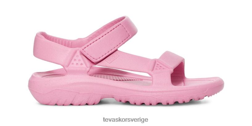orkandrift Teva NPL0DZ260 Skodon rosenblomning