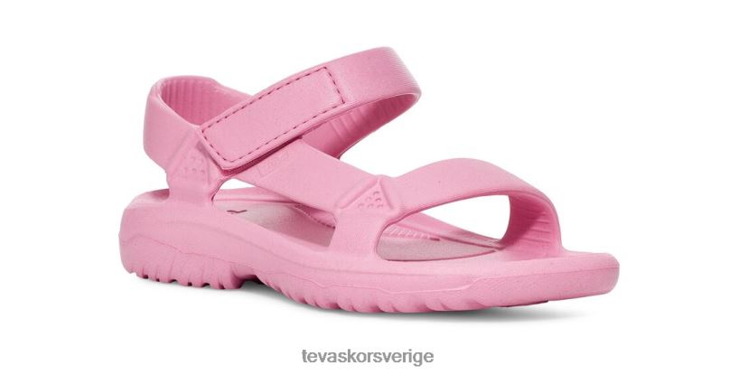 orkandrift Teva NPL0DZ260 Skodon rosenblomning