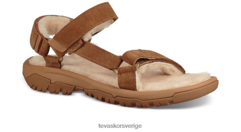 orkanskjuvning Teva NPL0DZ295 Skodon pekannöt