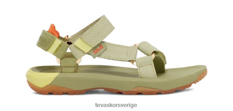 x coco och blåsig orkan xlt2 Teva NPL0DZ245 Skodon grön