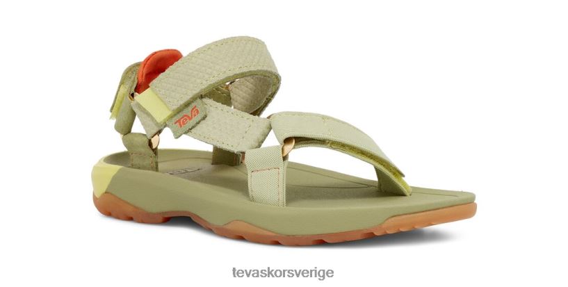 x coco och blåsig orkan xlt2 Teva NPL0DZ245 Skodon grön