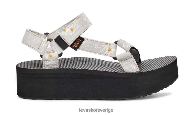 flatform universal gloriosa Teva NPL0DZ169 Skodon grå
