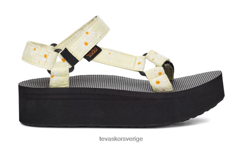 flatform universal gloriosa Teva NPL0DZ171 Skodon gul