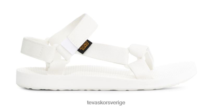 original universal Teva NPL0DZ96 Skodon kritvit