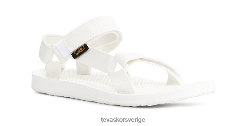 original universal Teva NPL0DZ96 Skodon kritvit