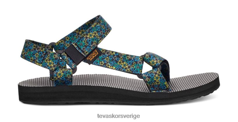 original universell vildblomma Teva NPL0DZ448 Skodon blå grön