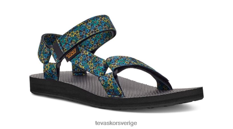 original universell vildblomma Teva NPL0DZ448 Skodon blå grön