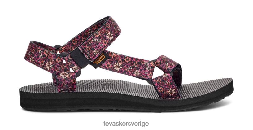 original universell vildblomma Teva NPL0DZ450 Skodon rödorange
