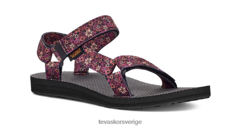 original universell vildblomma Teva NPL0DZ450 Skodon rödorange