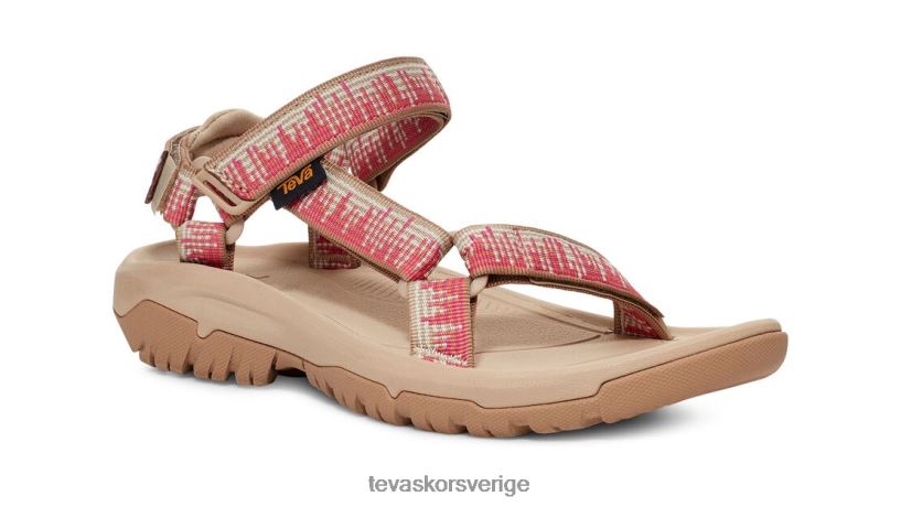orkan xlt2 Teva NPL0DZ21 Skodon atmosfär sesam