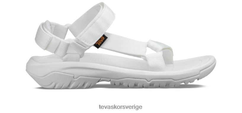 orkan xlt2 Teva NPL0DZ22 Skodon kritvit