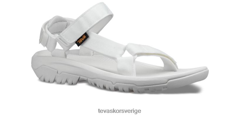 orkan xlt2 Teva NPL0DZ22 Skodon kritvit