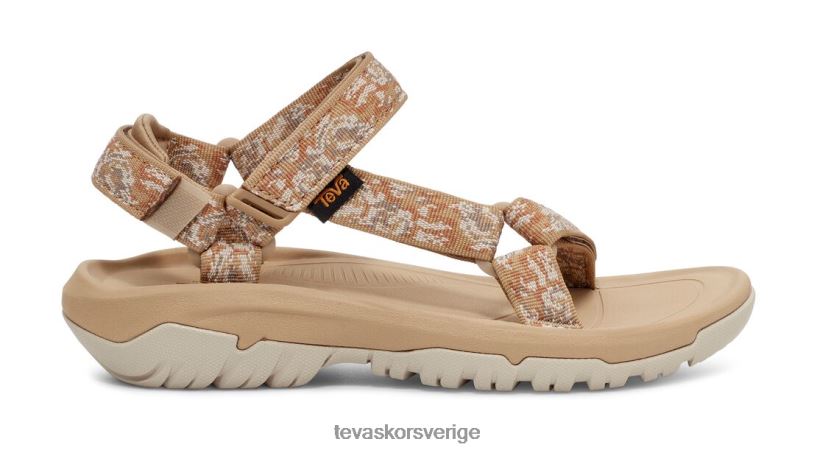 orkan xlt2 Teva NPL0DZ23 Skodon pampas sjöstjärna