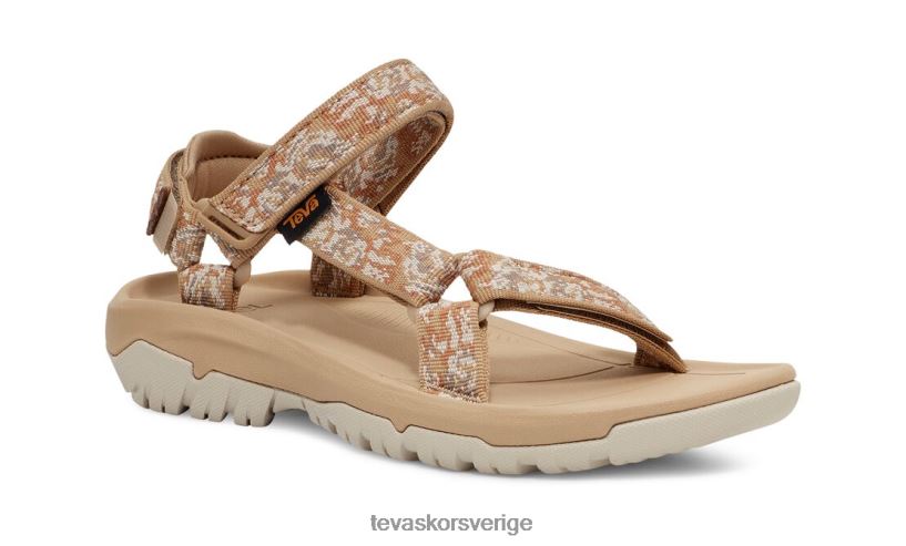 orkan xlt2 Teva NPL0DZ23 Skodon pampas sjöstjärna
