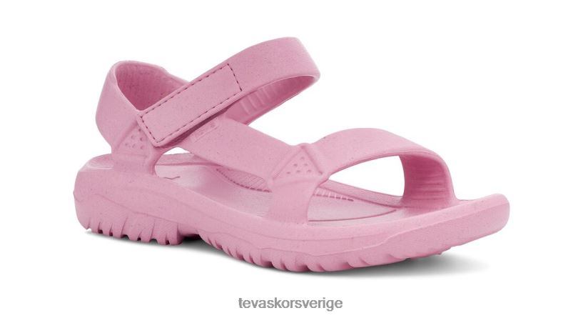 orkandrift Teva NPL0DZ128 Skodon rosenblomning