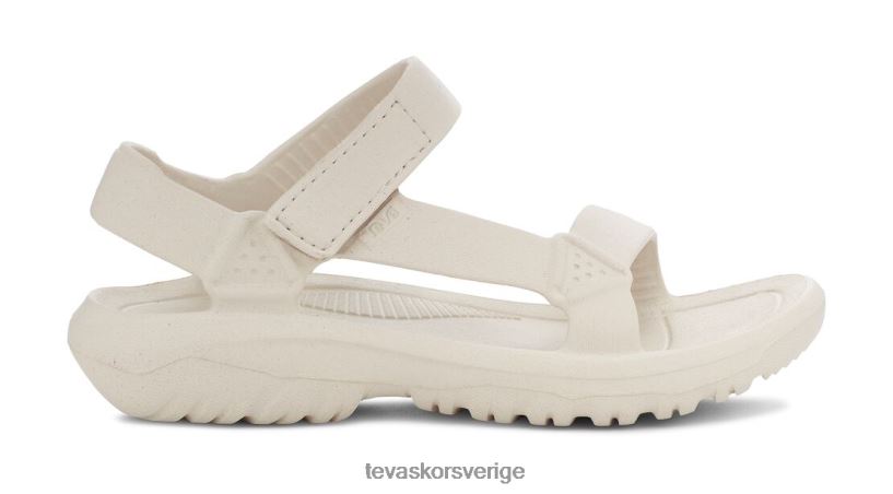 orkandrift Teva NPL0DZ131 Skodon björk