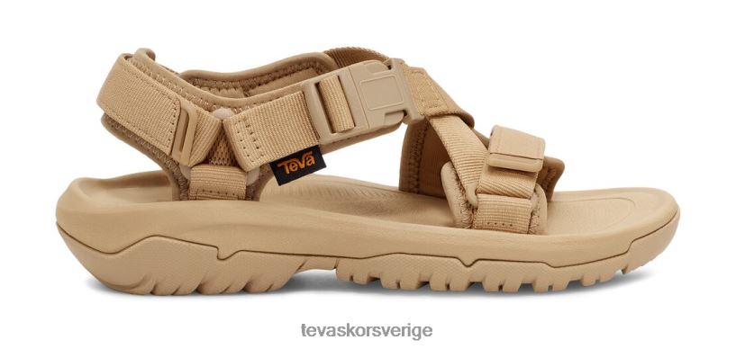 orkanens gräns Teva NPL0DZ181 Skodon sjöstjärna