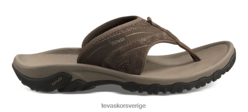 pajaro Teva NPL0DZ351 Skodon turkiskt kaffe