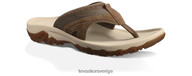 pajaro Teva NPL0DZ406 Skodon brun