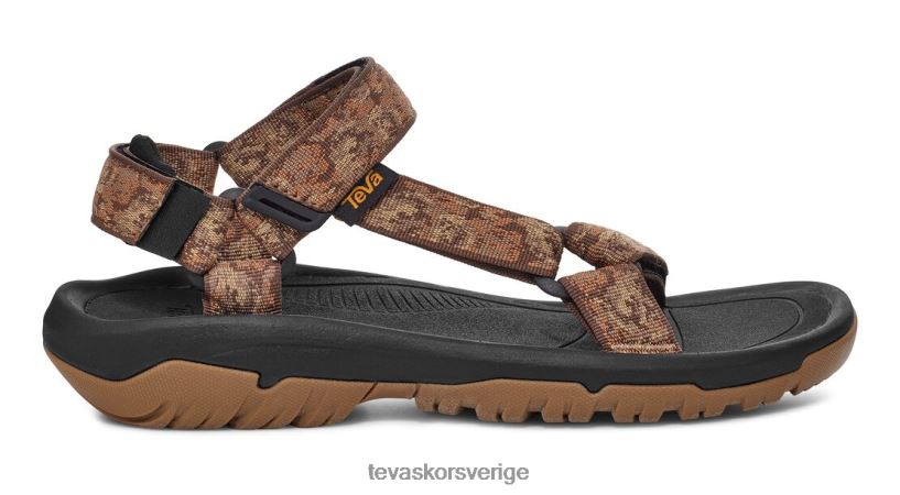 orkan xlt2 Teva NPL0DZ17 Skodon pampas regnskog brun