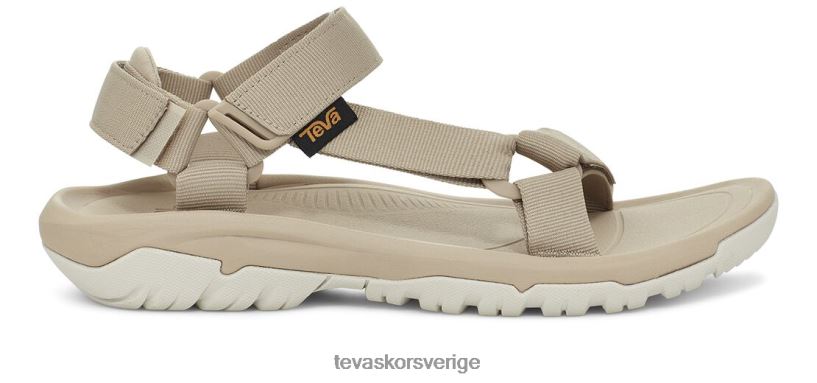 orkan xlt2 Teva NPL0DZ8 Skodon sesam