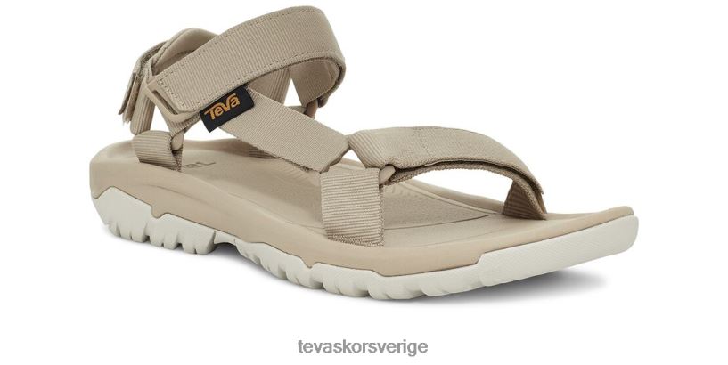 orkan xlt2 Teva NPL0DZ8 Skodon sesam